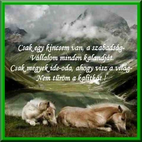 0000073857kalitkc1s20felirat.jpg 0000073857kalitkc1s20felirat.jpg