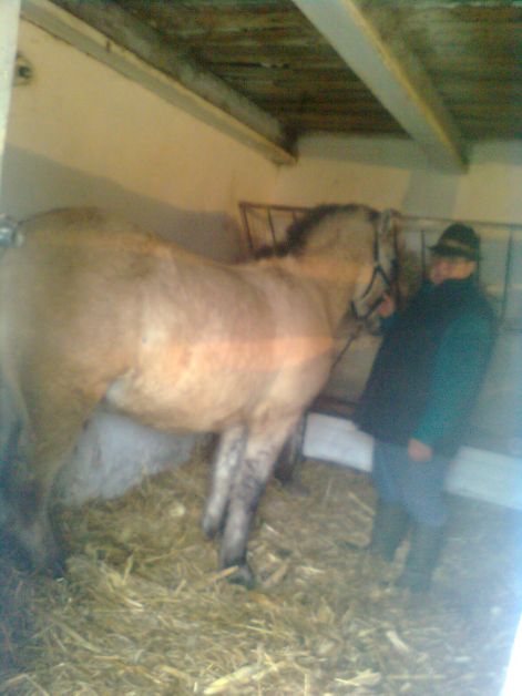 kep0131.jpg kep0131.jpg